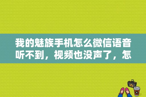 我的魅族手机怎么微信语音听不到，视频也没声了，怎么能找回来？谢谢？（魅族微信语音没声音）-图1