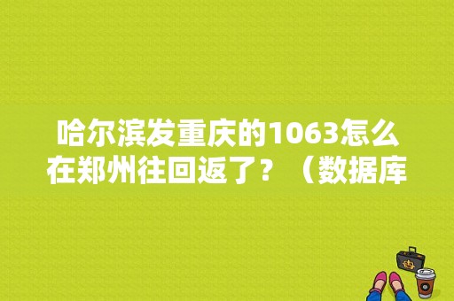 哈尔滨发重庆的1063怎么在郑州往回返了？（数据库错误码1063）-图1