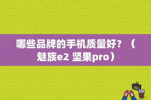 哪些品牌的手机质量好？（魅族e2 坚果pro）